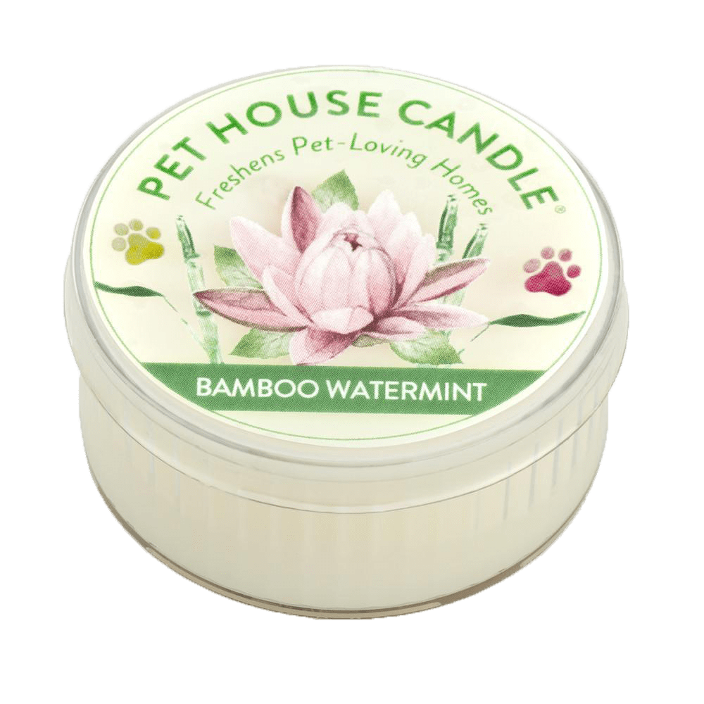 Renske Pet House Candle Bamboo Watermint mini-min