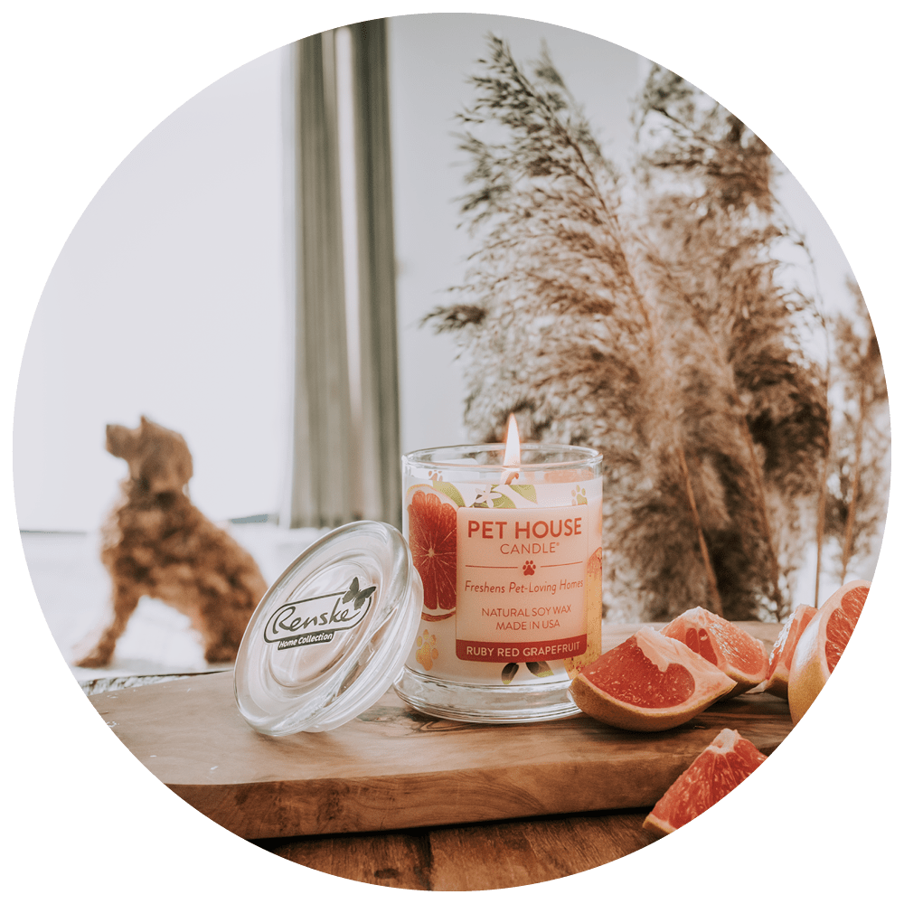 Website Cirkel + Ruby red grapefruit